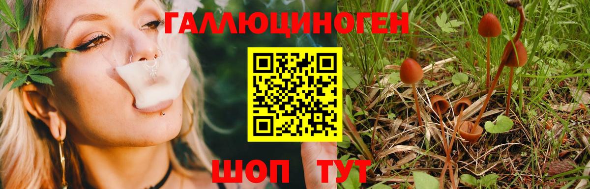 Галлюциногенные грибы Psilocybine cubensis  Вход с VPN  Дмитров  Псилоцибиновые грибы MAGIC MUSHROOMS 